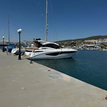 Arena I By The Sea Daire